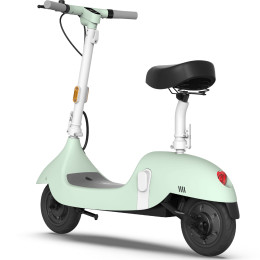Электросамокат OKAI Ceetle PRO EA10C (EA10C-MG) Mint Green