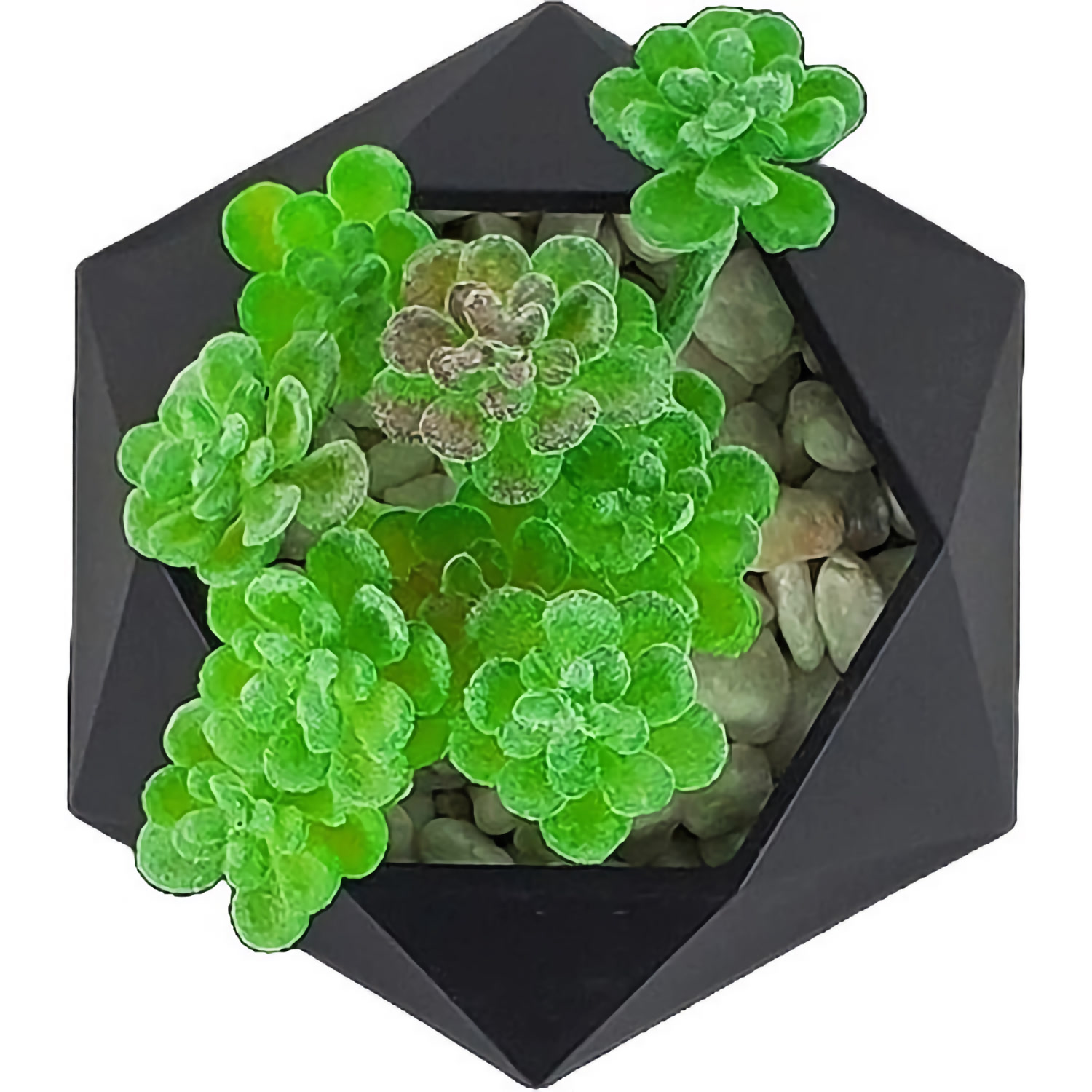 Магнитный левитационный горшок для растений HCNT Magnetic Levitating Pot M10-GW4 (SIM10-GW4) Black