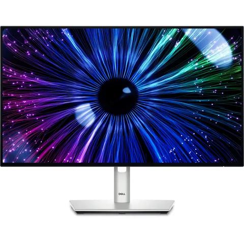 Монитор Dell 23.8" U2424HE (210-BKJF)