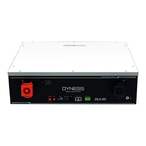 Аккумуляторная батарея Dyness DL5.0C 5.12KWH 51.2V 100AH (DL5.0C_Heated)