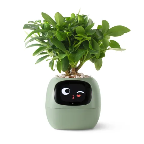 Интерактивный умный горшок для растений Ivy Smart Planter Tuya AI Green