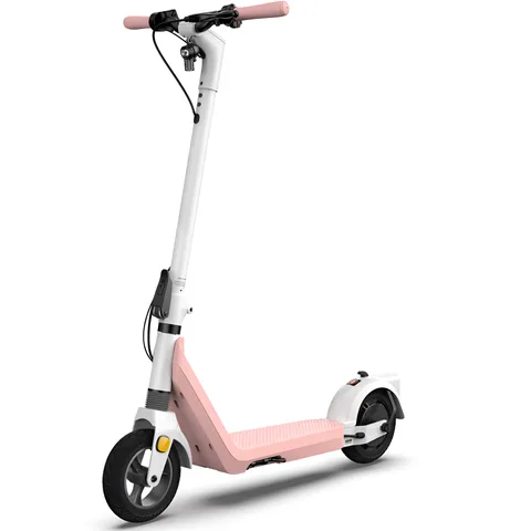 Электросамокат OKAI Zippy ES50C (ES50C-P) Pink