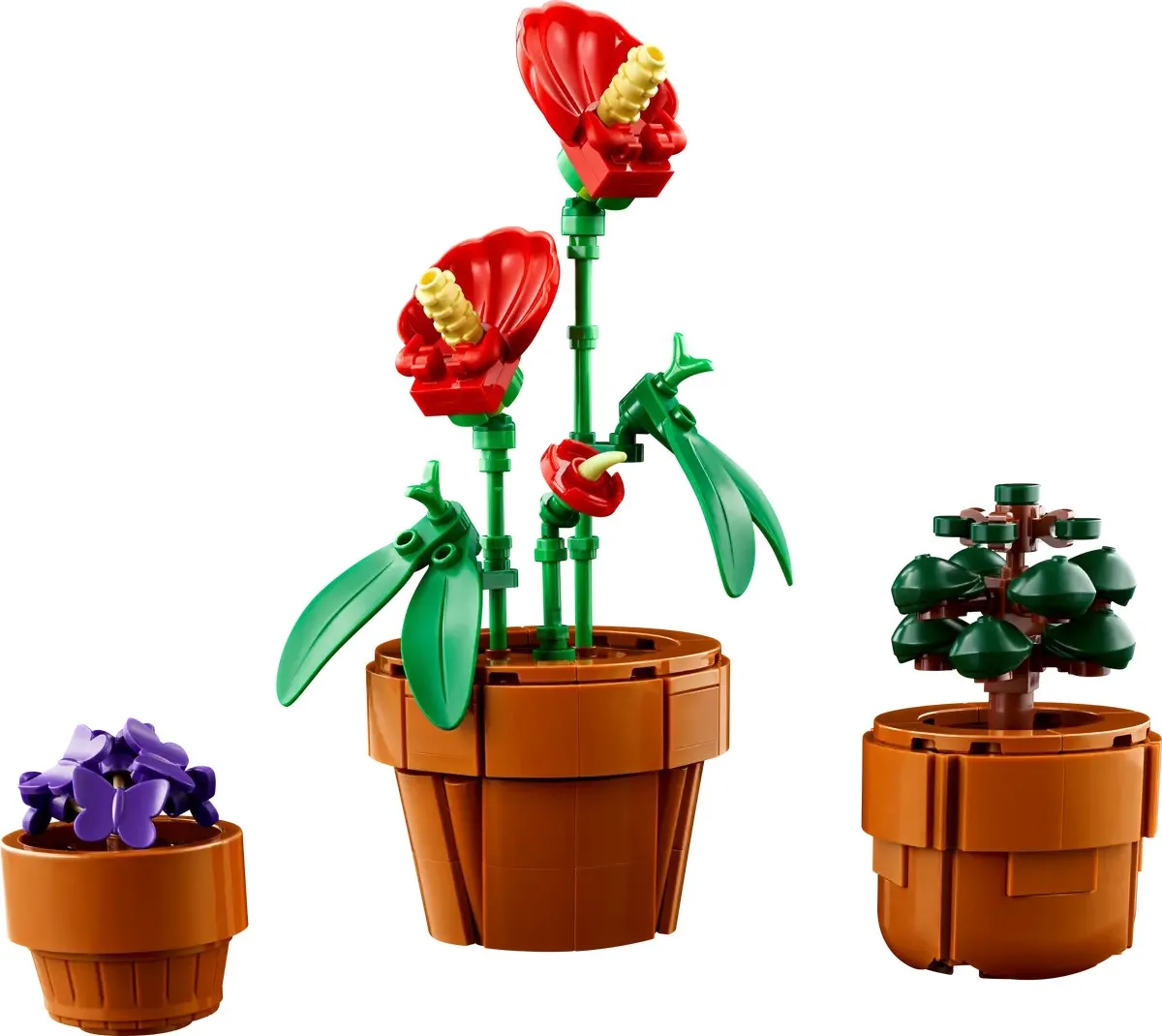 Конструктор LEGO Botanicals Маленькі квіти (10329) — фото 4