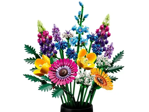 Конструктор LEGO Botanicals Букет польових квітів (10313)