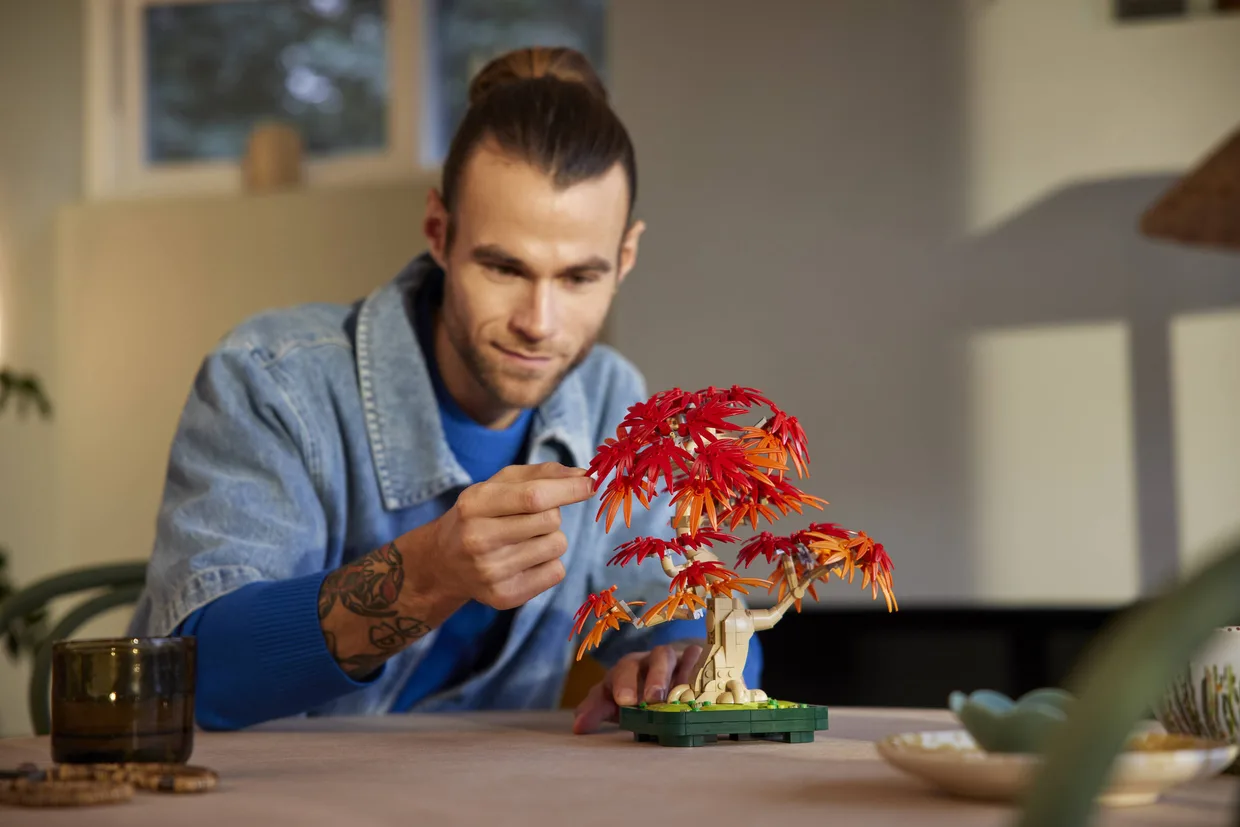 Конструктор LEGO Botanicals Бонсай из японского красного клёна (10348) — фото 6