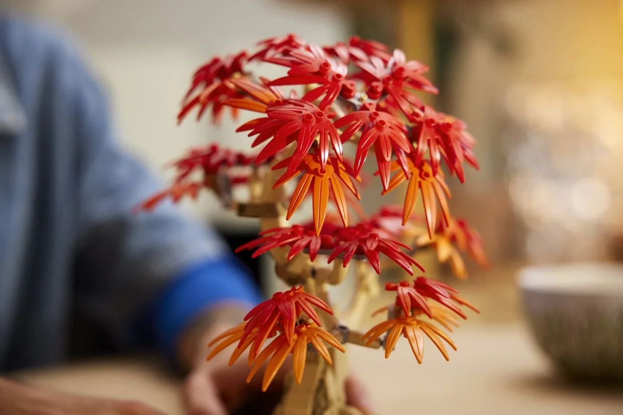 Конструктор LEGO Botanicals Бонсай из японского красного клёна (10348) — фото 7