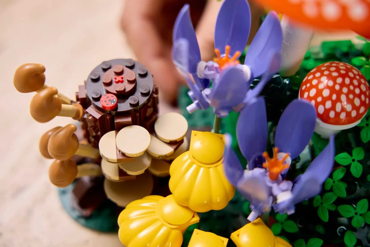 Конструктор LEGO Botanicals Лісові гриби (11505) — фото 9