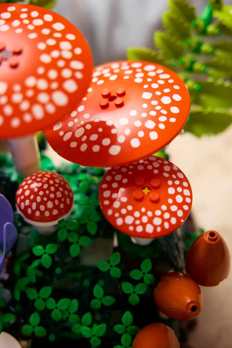 Конструктор LEGO Botanicals Лісові гриби (11505) — фото 10