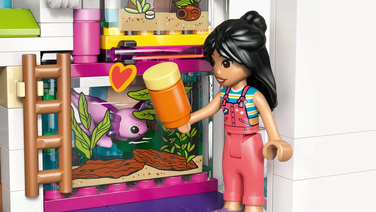 Конструктор LEGO Friends Семейный дом Лианн (42687) — фото 6