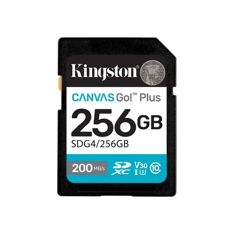 Карта пам'яті Kingston Canvas Go! Plus SDXC 256GB (UHS-I U3) W-160 MB/s, R-200 MB/s Class 10 V30 (SDG4/256GB)