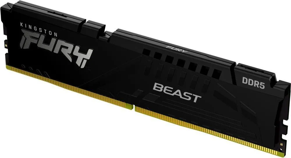 Оперативная память Kingston FURY Beast DDR5 32GB/6000 (KF560C36BBE-32)